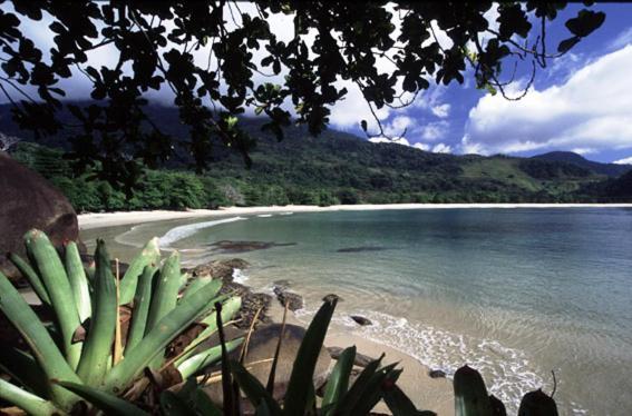 Recanto Tangará - Chalé - Praia do Felix Ubatuba Extérieur photo